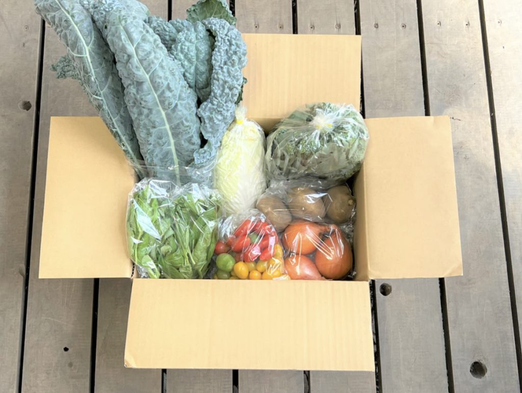 風弥 つづら 野菜